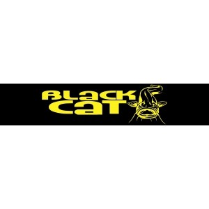 Naklejka prostokątna - Black Cat