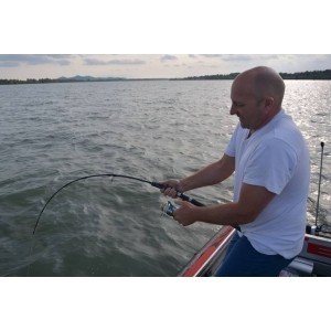 Wędka Sumowa V-Stick 172cm 200g – Zeck Fishing